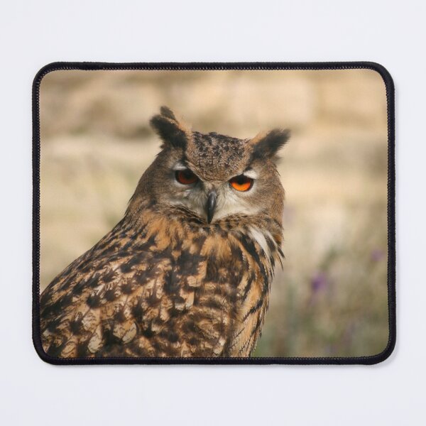 Item preview, Bird of prey giving me the eye designed and sold by GingaDesigns.