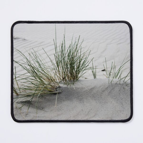 Item preview, Beach grass designed and sold by Calidris Fotografie Steffi & Ben Köppler.