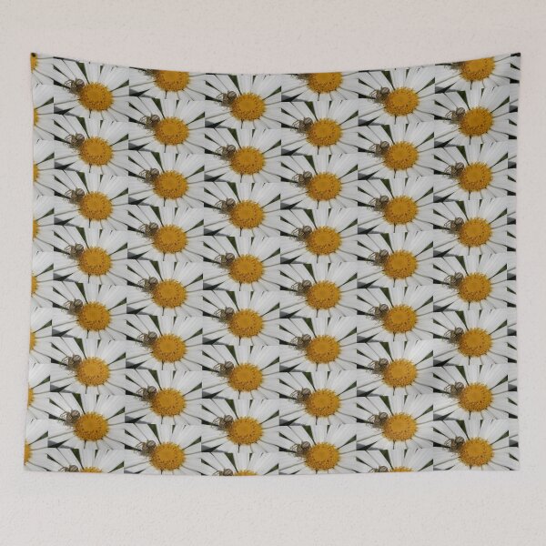 Item preview, Tiny Spider on a Daisy, Tumut, NSW, Australia. designed and sold by kaysharp.