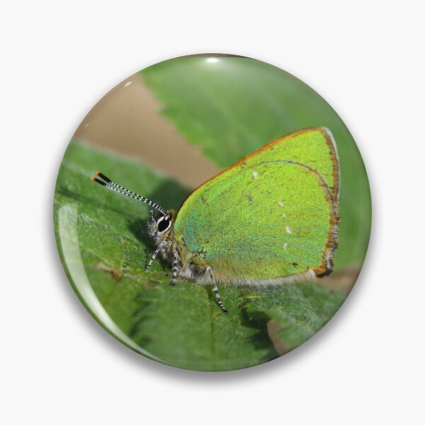 Item preview, Green hairstreak designed and sold by Jo Nijenhuis.