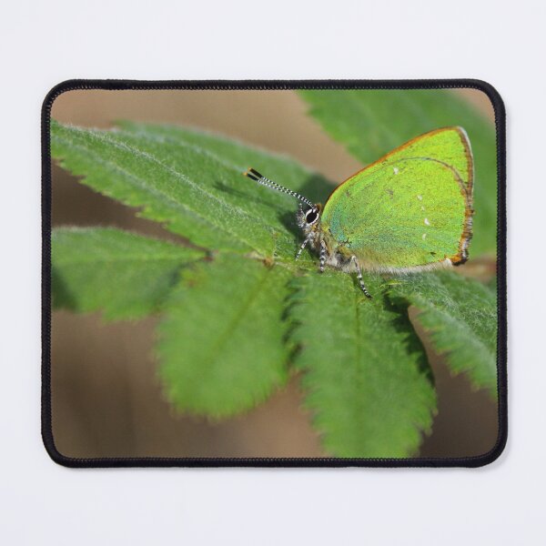 Item preview, Green hairstreak designed and sold by Jo Nijenhuis.