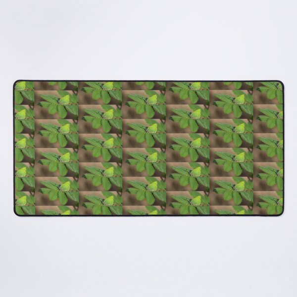 Item preview, Green hairstreak designed and sold by Jo Nijenhuis.