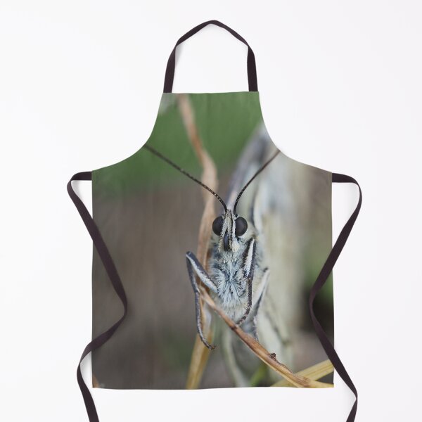 Item preview, Close-up front view of a butterfly designed and sold by Syr'photographies.