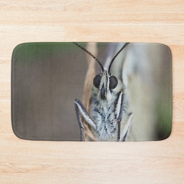 Item preview, Close-up front view of a butterfly designed and sold by Syr'photographies.