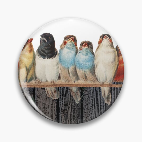 Item preview, Bird Poetry designed and sold by DToneDef.