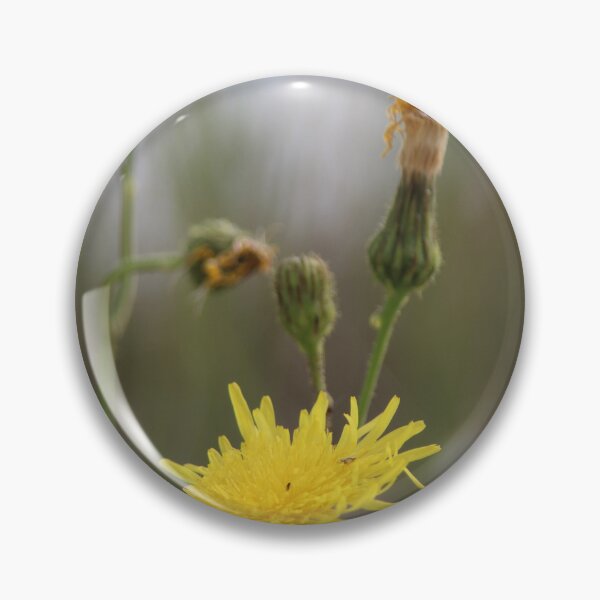 Item preview, Common Sowthistle designed and sold by Calidris Fotografie Steffi & Ben Köppler.