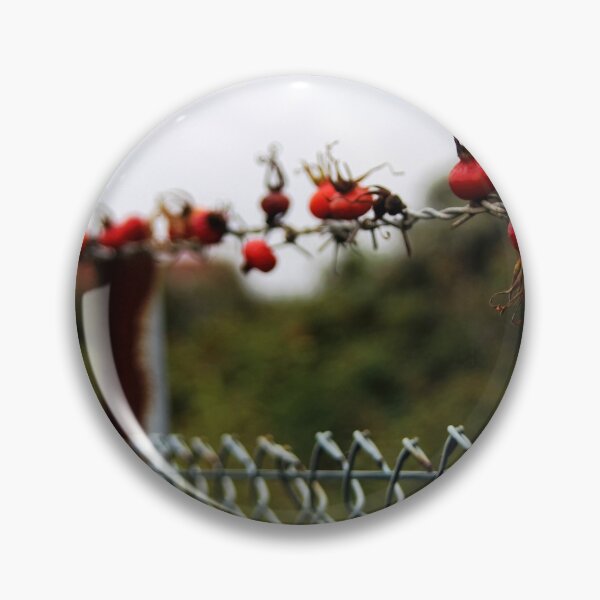 Item preview, Rose Hip Fence designed and sold by Calidris Fotografie Steffi & Ben Köppler.
