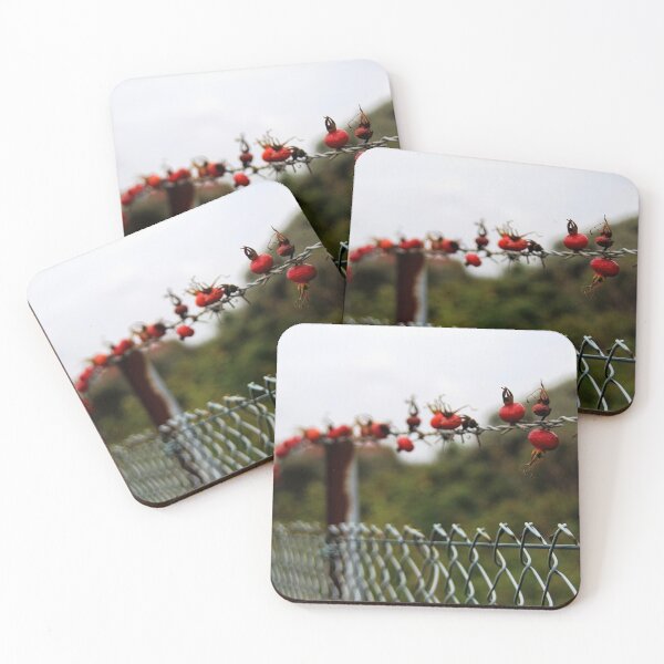 Item preview, Rose Hip Fence designed and sold by Calidris Fotografie Steffi & Ben Köppler.