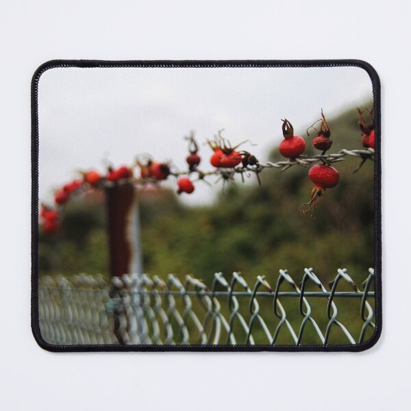 Item preview, Rose Hip Fence designed and sold by Calidris Fotografie Steffi & Ben Köppler.