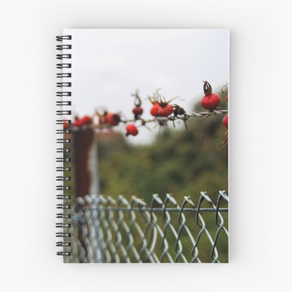 Item preview, Rose Hip Fence designed and sold by Calidris Fotografie Steffi & Ben Köppler.