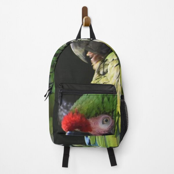 Item preview, Military Macaw designed and sold by Sharon the Zoo Lady Photography .