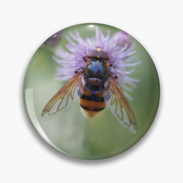 Item preview, Big hoverfly on purple flower designed and sold by Syr'photographies.