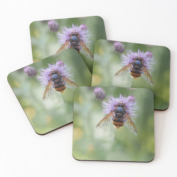 Item preview, Big hoverfly on purple flower designed and sold by Syr'photographies.