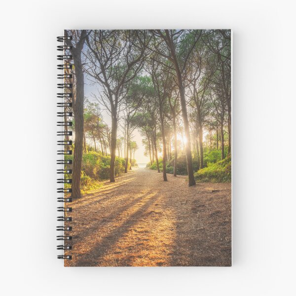 Item preview, Pine trees, beach and sea. Marina di Cecina, Tuscany, Italy designed and sold by Stefano Orazzini.