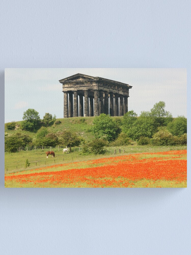 Alternate view of Poppies at Penshaw Monument, County Durham Canvas Print