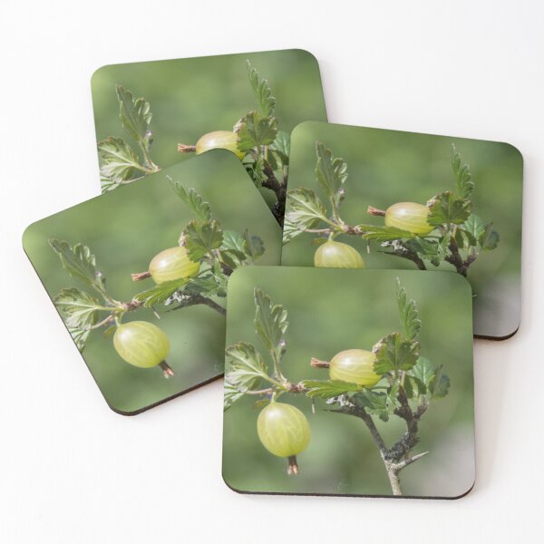 Item preview, Gooseberries designed and sold by Calidris Fotografie Steffi & Ben Köppler.