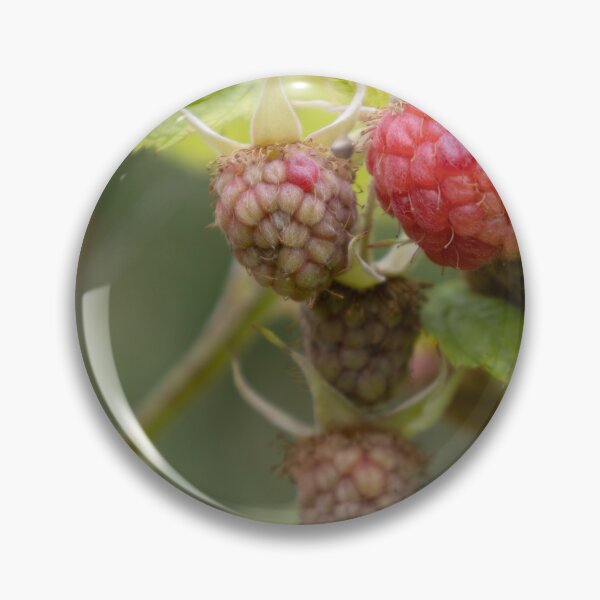 Item preview, Raspberries designed and sold by Calidris Fotografie Steffi & Ben Köppler.