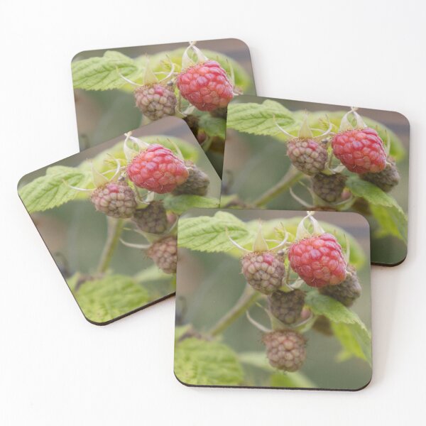 Item preview, Raspberries designed and sold by Calidris Fotografie Steffi & Ben Köppler.