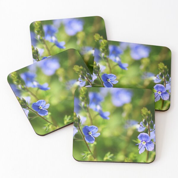 Aperçu de l'œuvre Jolies petites fleurs de champ bleu créée et vendue par ByNicoleSara.