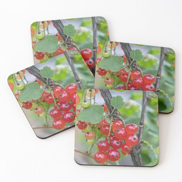 Item preview, Red Currants designed and sold by Calidris Fotografie Steffi & Ben Köppler.