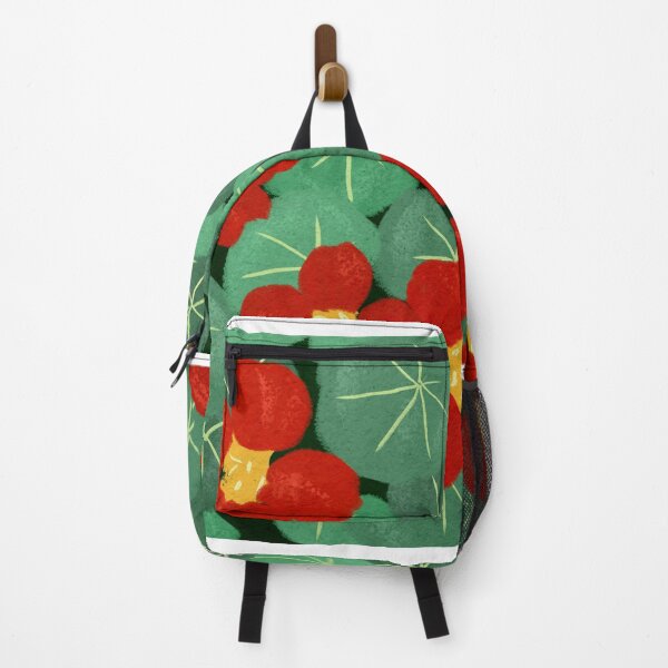 Item preview, These are not watermelons designed and sold by Paola Kola.