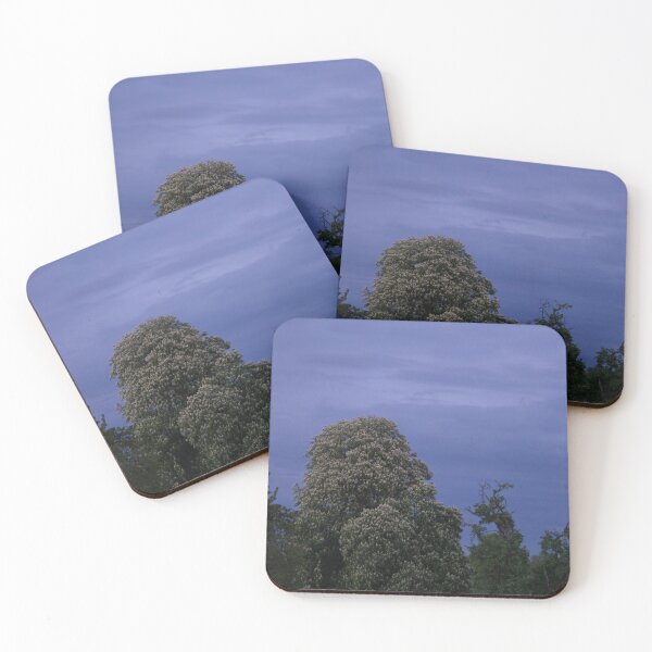 Item preview, Horse Chestnut designed and sold by Calidris Fotografie Steffi & Ben Köppler.