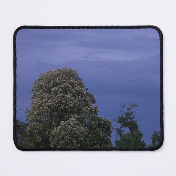 Item preview, Horse Chestnut designed and sold by Calidris Fotografie Steffi & Ben Köppler.