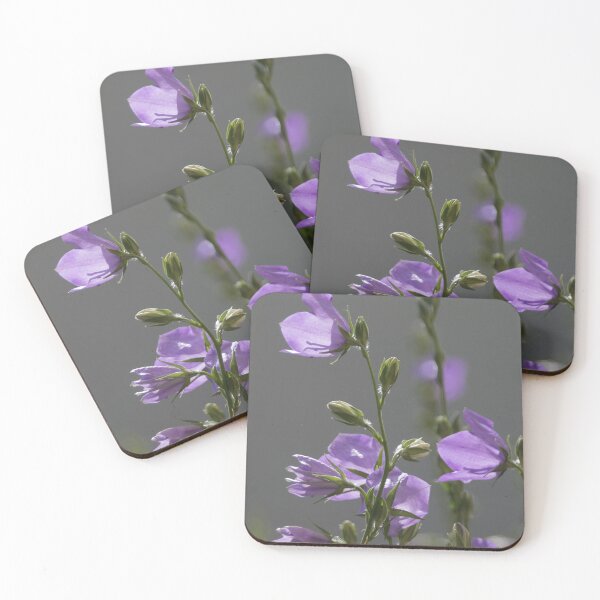 Item preview, Peach-leaved Bellflower designed and sold by Calidris Fotografie Steffi & Ben Köppler.