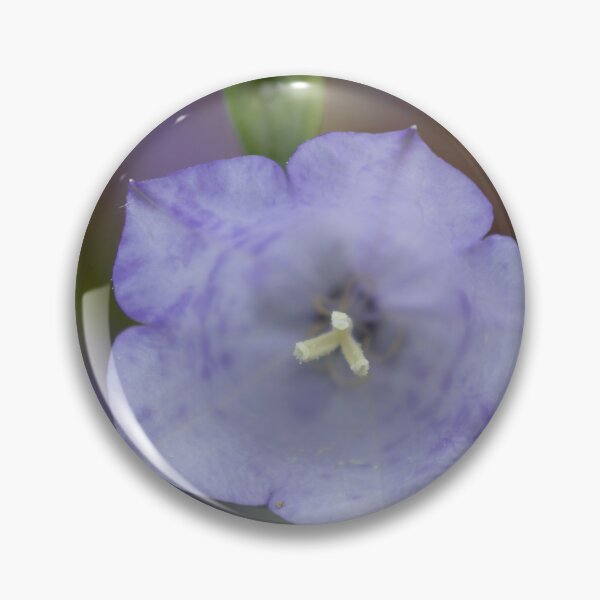 Item preview, Peach-leaved Bellflower designed and sold by Calidris Fotografie Steffi & Ben Köppler.
