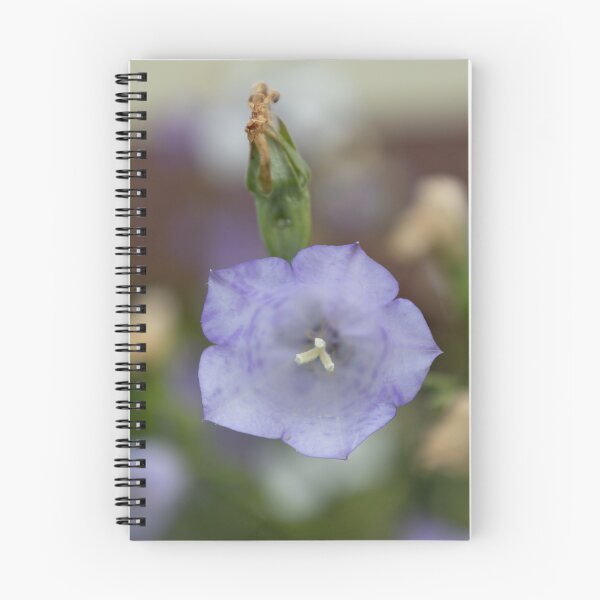 Item preview, Peach-leaved Bellflower designed and sold by Calidris Fotografie Steffi & Ben Köppler.