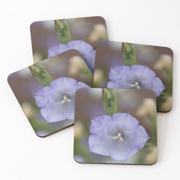 Item preview, Peach-leaved Bellflower designed and sold by Calidris Fotografie Steffi & Ben Köppler.