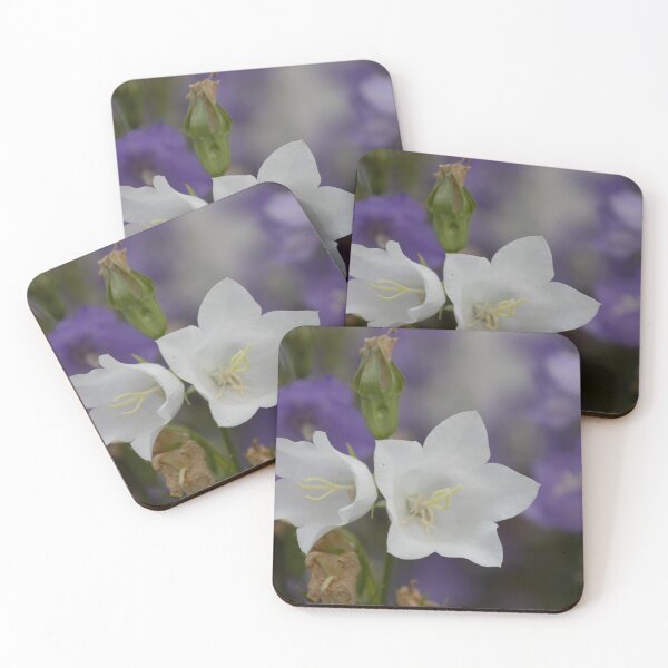 Item preview, White Peach-leaved Bellflower designed and sold by Calidris Fotografie Steffi & Ben Köppler.