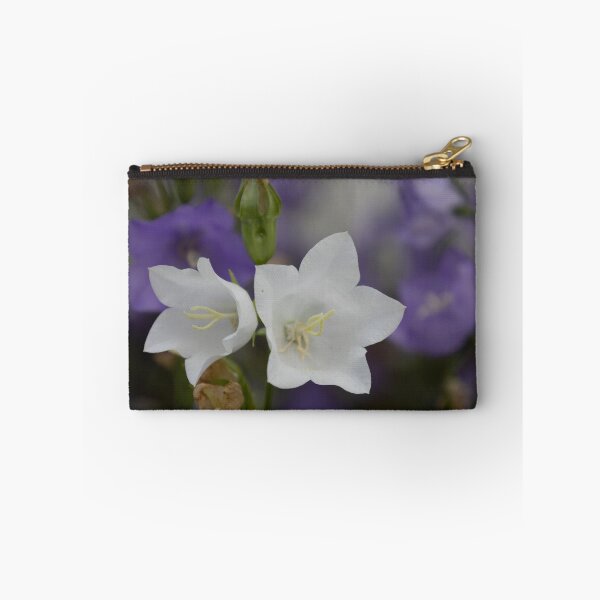 Item preview, White Peach-leaved Bellflower designed and sold by Calidris Fotografie Steffi & Ben Köppler.
