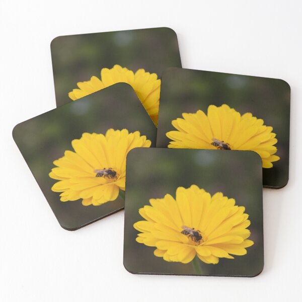 Item preview, Pot Marigold designed and sold by Calidris Fotografie Steffi & Ben Köppler.