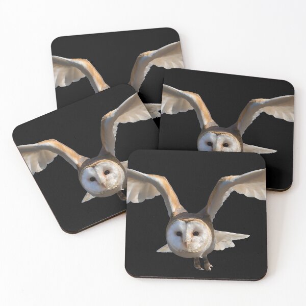 Item preview, Barn Owl in Flight designed and sold by Futurebeachbum.