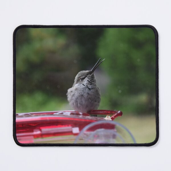 Item preview, Hummingbird on feeder designed and sold by Alison Stevens.