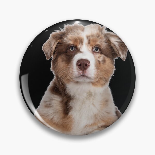 Item preview, Lindo perrito designed and sold by TakeThis4.