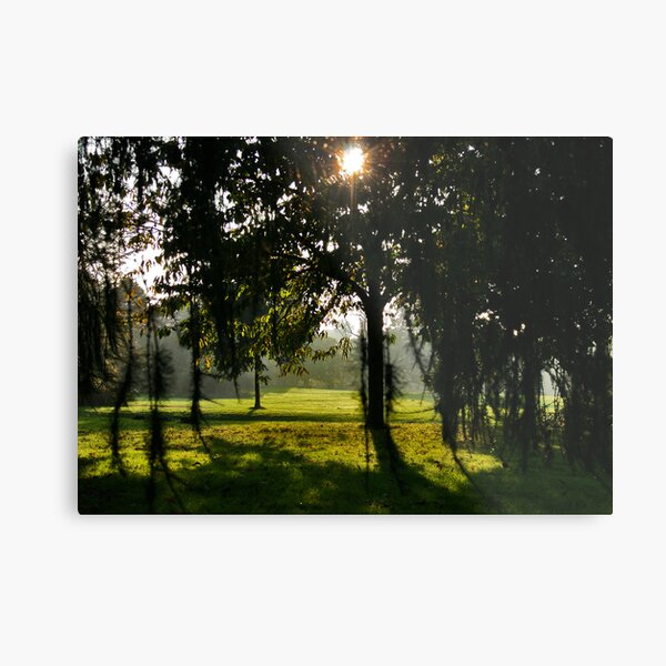 Sunlight and Shade Metal Print