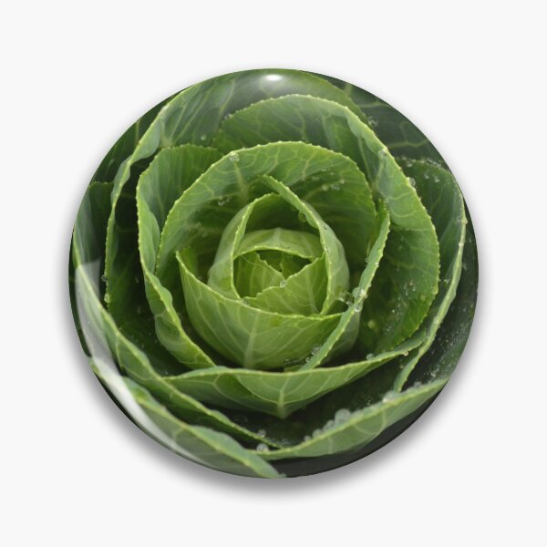 Item preview, Cabbage designed and sold by GasconyPassion.