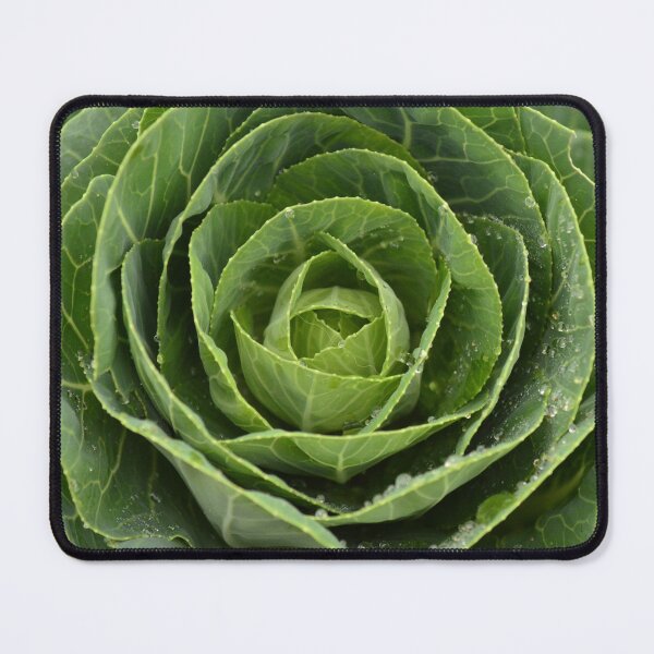 Item preview, Cabbage designed and sold by GasconyPassion.