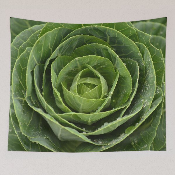 Item preview, Cabbage designed and sold by GasconyPassion.