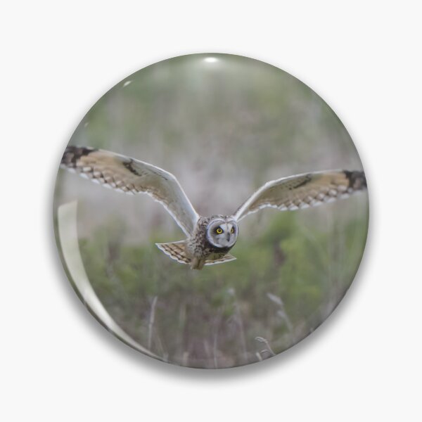 Item preview, Short Eared Owl designed and sold by LaurenTucker.