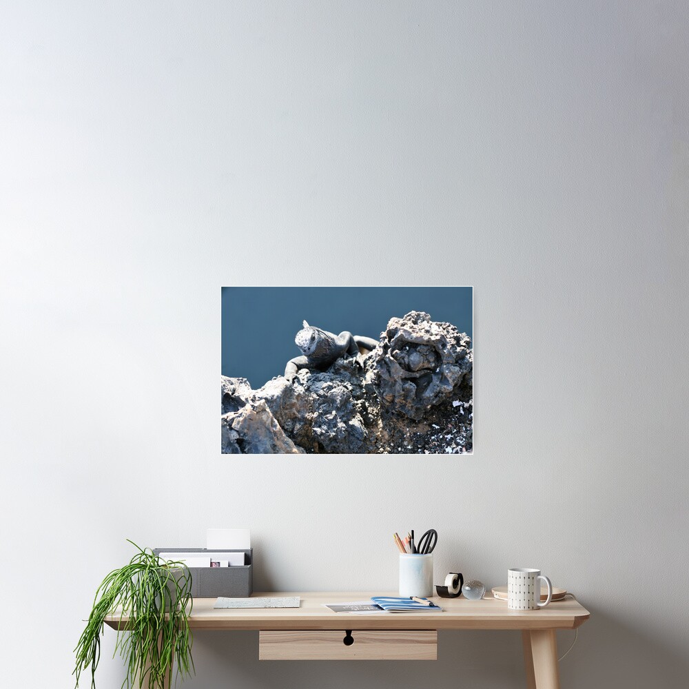 Item preview, Poster designed and sold by EltonCarr.