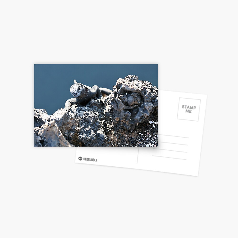 Item preview, Postcard designed and sold by EltonCarr.