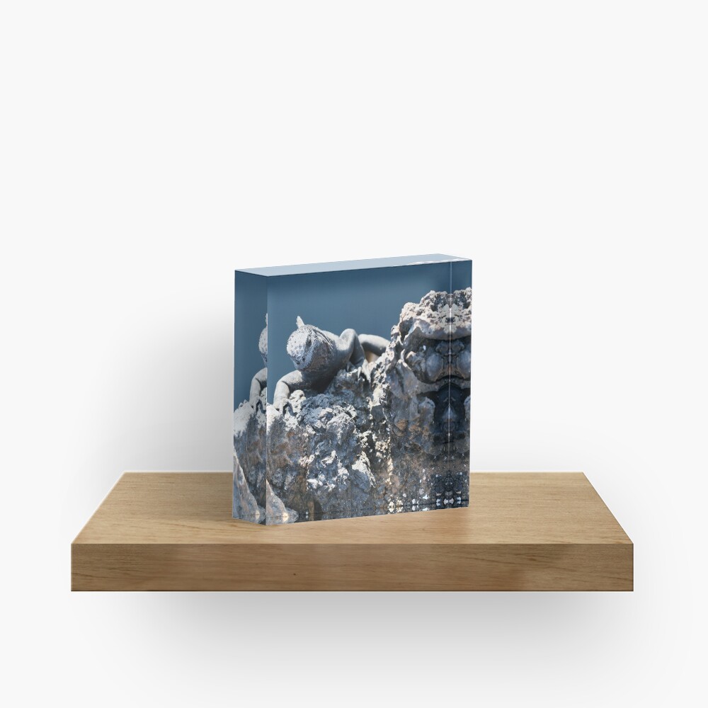 Item preview, Acrylic Block designed and sold by EltonCarr.