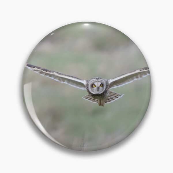 Item preview, Short Eared Owl designed and sold by LaurenTucker.