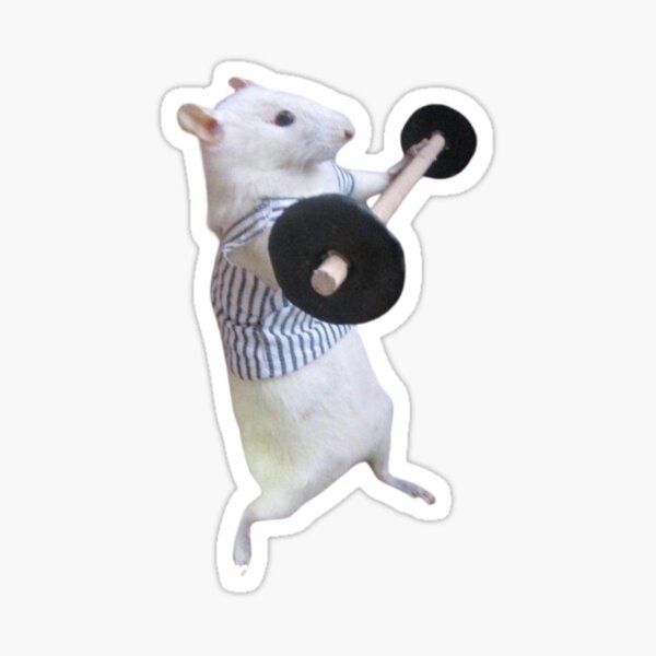 Item preview, Gym Rat designed and sold by JMLab.