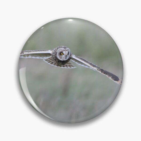 Item preview, Short Eared Owl designed and sold by LaurenTucker.