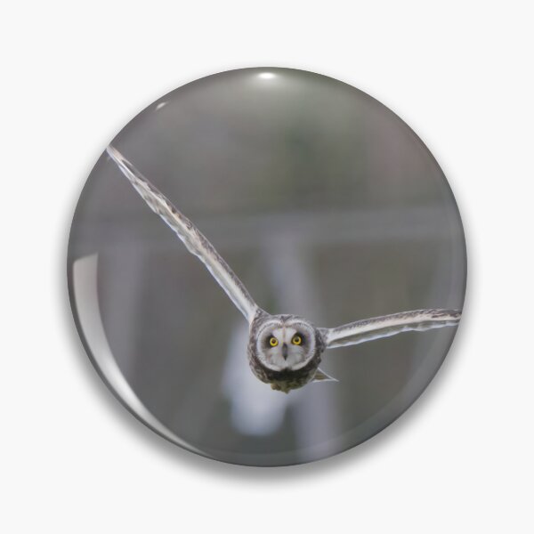 Item preview, Short Eared Owl designed and sold by LaurenTucker.