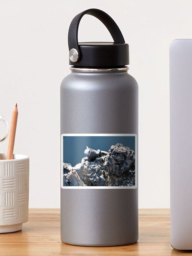 Thumbnail 1 of 3, Sticker, Galapagos marine iguana designed and sold by EltonCarr.
